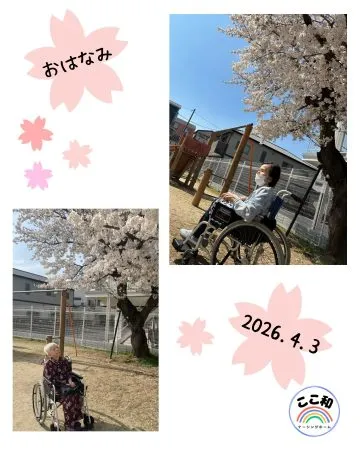 Instagram Media